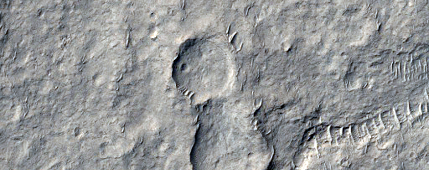 Branched and Curving Ridges among Yardangs in Aeolis Dorsa