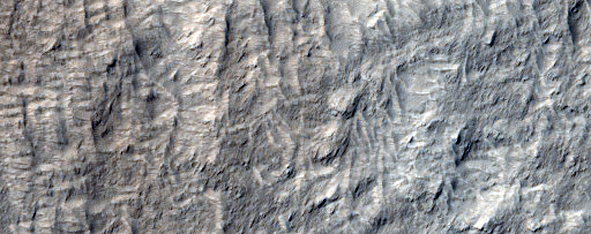 Terrain Near Isidis Planitia