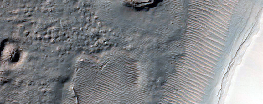 Gully Monitoring