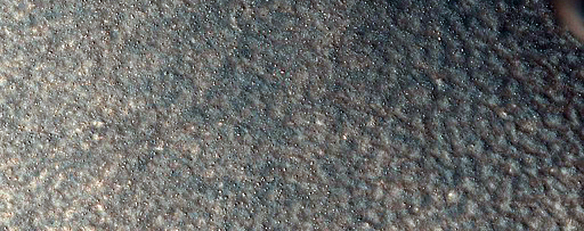 Polar Dune Sample