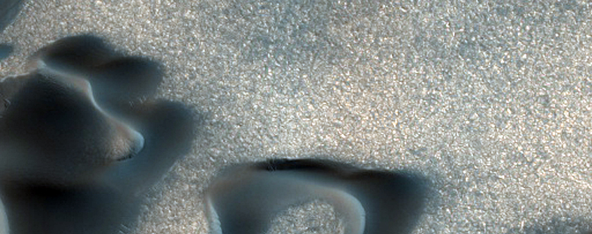 Polar Dune Diversity
