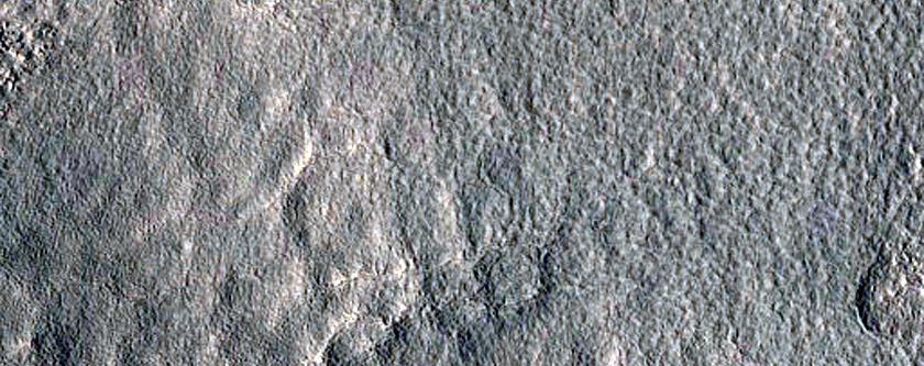 Gullies in Mid-Latitude Crater Near Sithonius Lacus