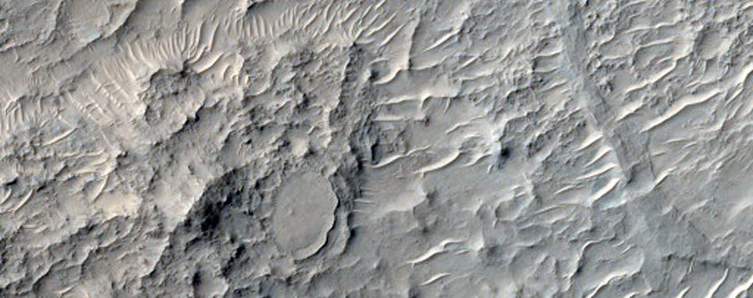 Sinuous Ridges in Crater in Libya Montes