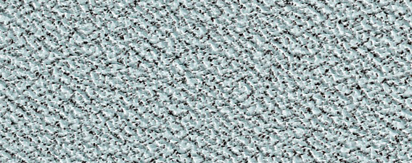 Polar Survey
