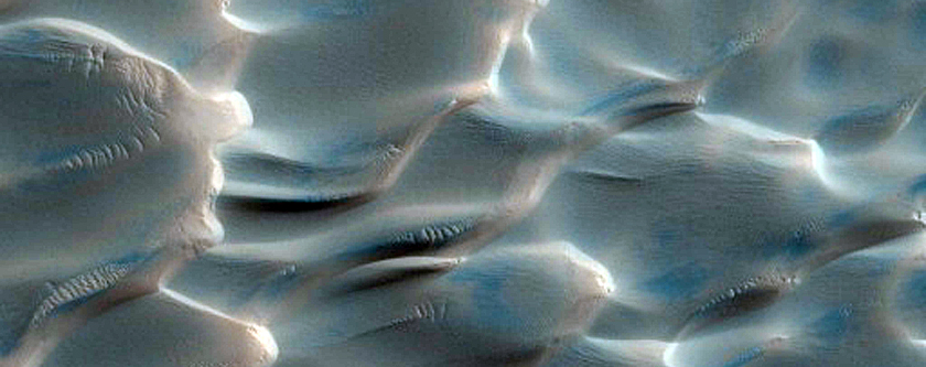 Dunes Dubbed Buzzel