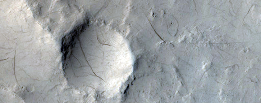Crater with Fans and Sinuous Ridges Near Distal Marte Vallis