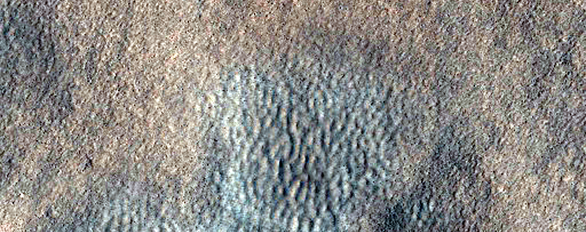 Northern Plains Sample
