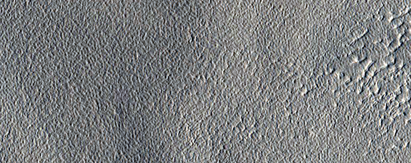 Northern Plains Sample