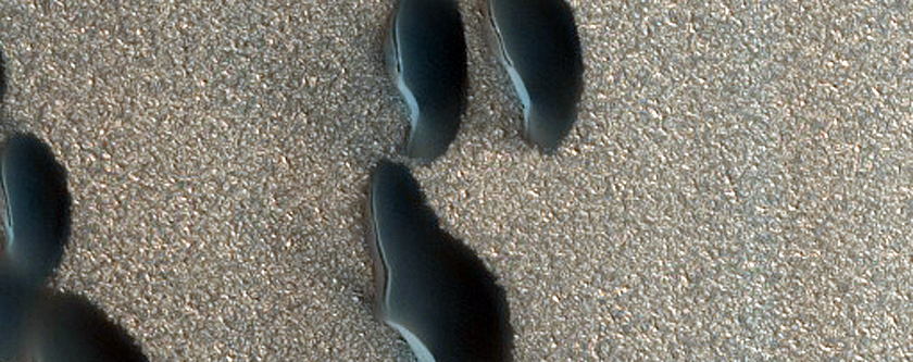 Furrows on Dunes