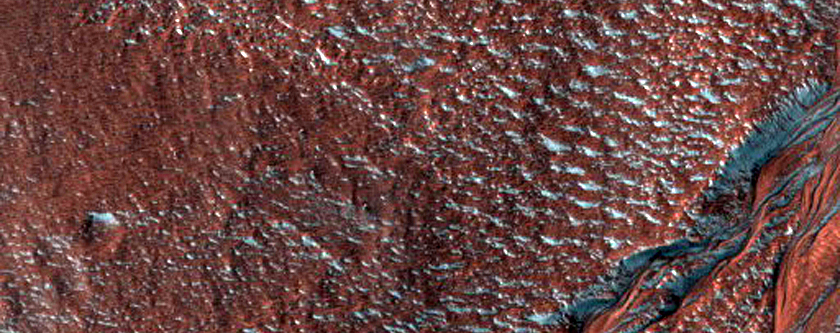 Gully Monitoring
