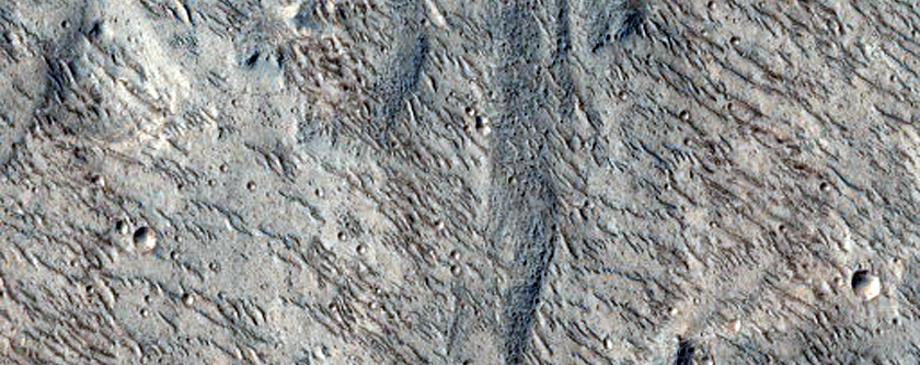 Candidate ExoMars Landing Site at Hypanis Valles Outflow