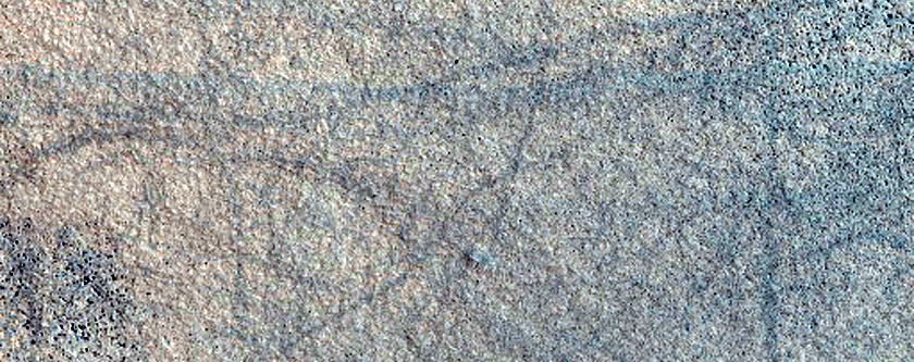Northern Plains Sample