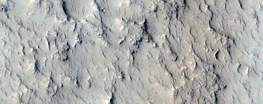 Crater with Channels and Fans and Sinuous Ridges Near Distal Marte Vallis