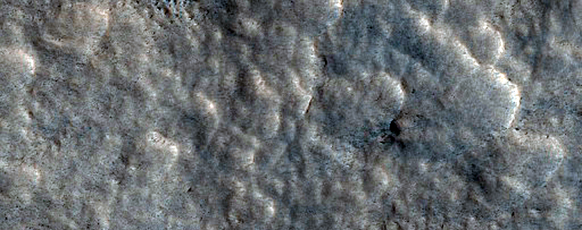 Northern Plains Sample