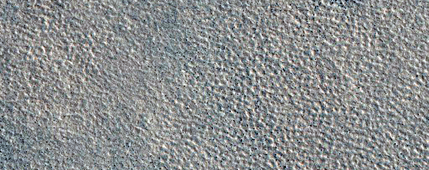 Northern Plains Sample
