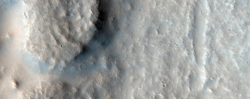 Elevated Circular Feature