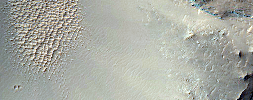 Crater South of Daedalia Planum