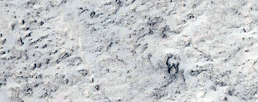 Flow Margin Near Tartarus Colles