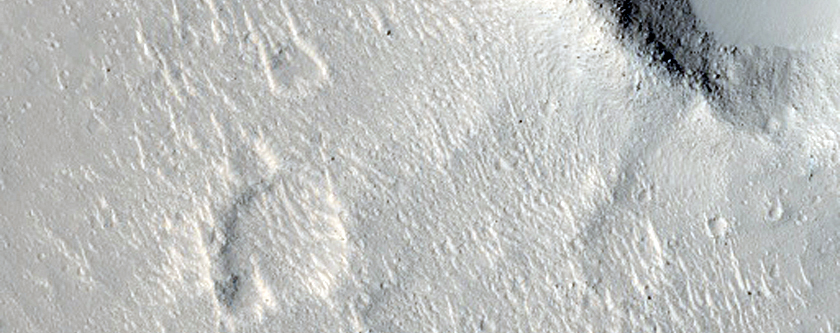 Half-Cones and Scarps