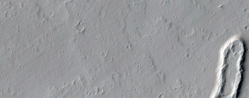 Elevated Structures South of Ascraeus Mons