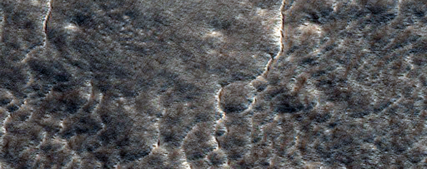 Northern Plains Sample