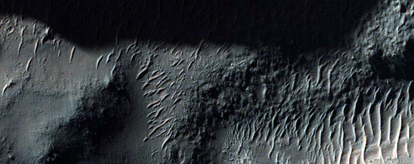 Gully Monitoring