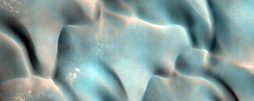 Furrows on Dunes Dubbed South Beach