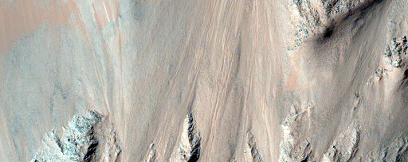 Ridges and Gullies along Coprates Chasma Massif