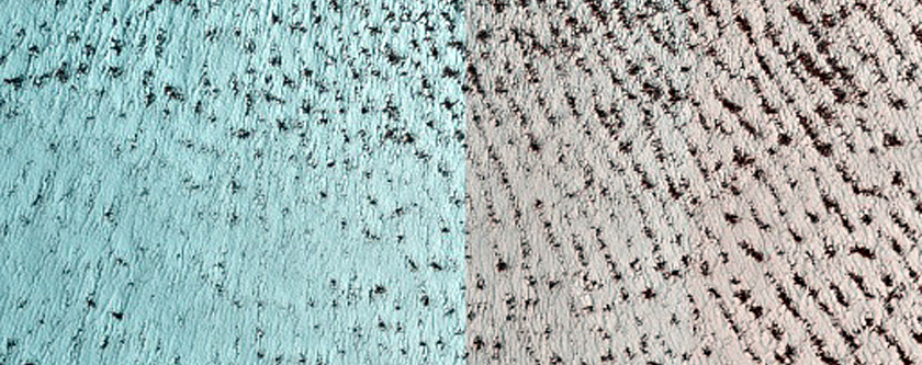 Persistent Summer Frost or Ice