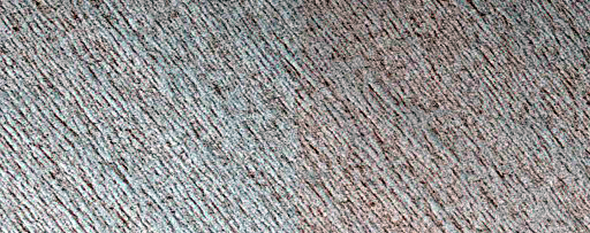 Sustained Bright Patches