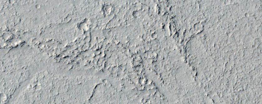 Flow Surfaces in Elysium Planitia