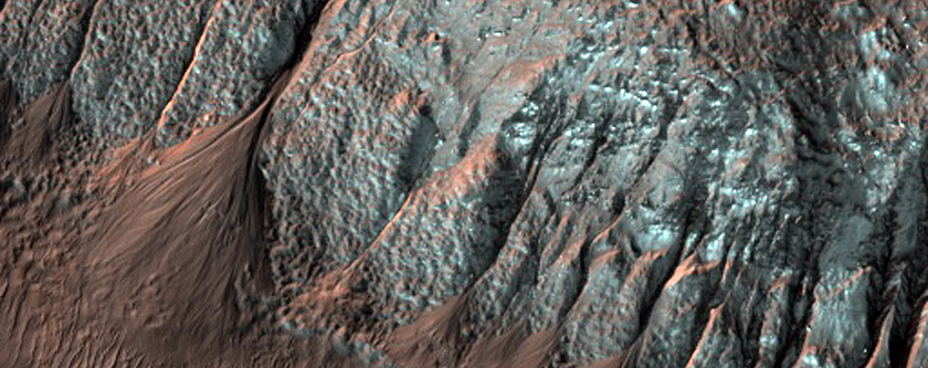 Gully Monitoring
