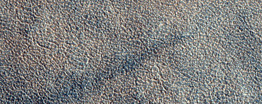 Northern Plains