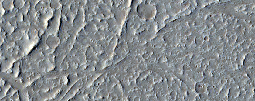 Platy-Ridged Flows in Tharsis Region