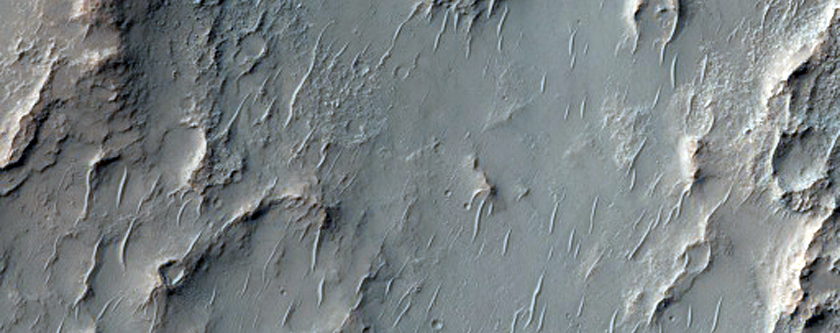 Branched Flat-Topped Ridge on Crater Floor in Terra Sabaea