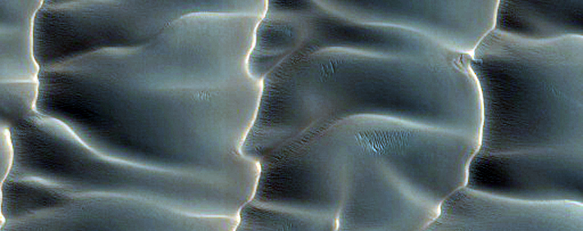 North Polar Gypsum Dunes