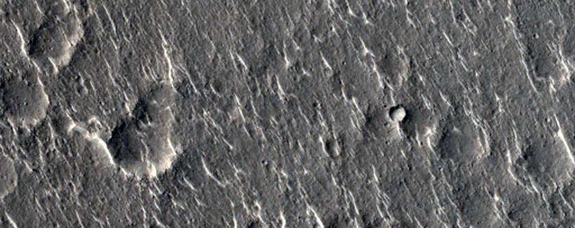 Curvilinear Ridges in Isidis Planitia
