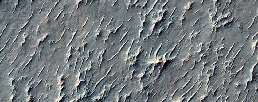 Putative Chloride-Rich Deposits Inside Degraded Crater