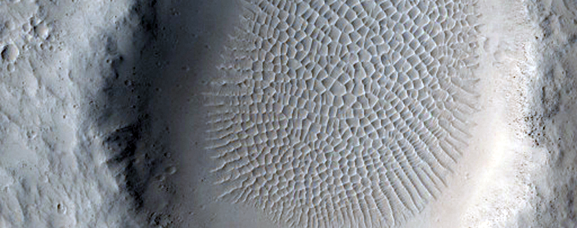Kratergolv i Amazonis Planitia