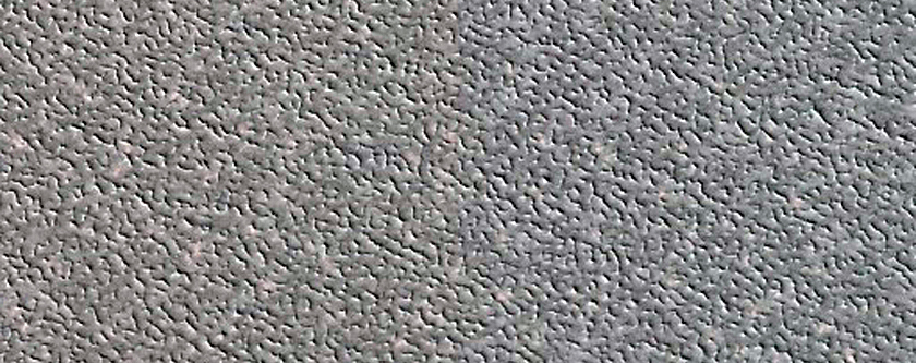 Sustained Bright Patches