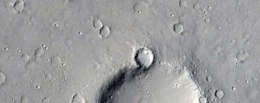 Grns fr lavaflde i Elysium Planitia