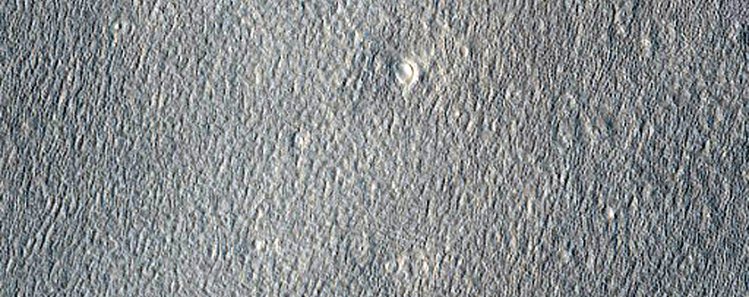Kupol med kratrar i Arcadia Planitia