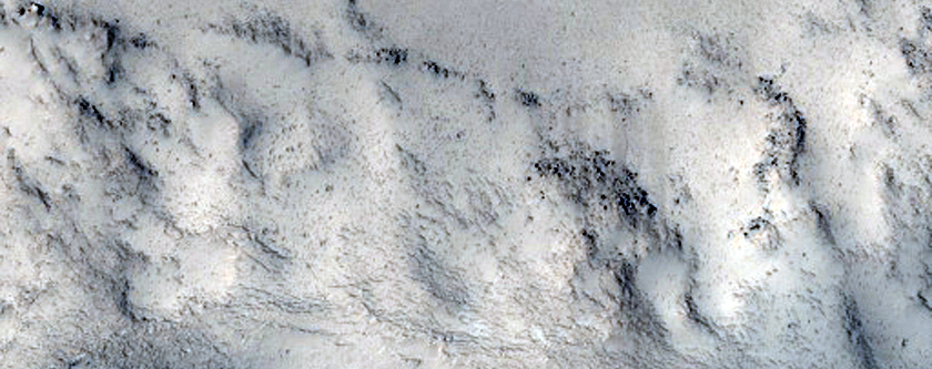 Cones with Moats in Elysium Planitia
