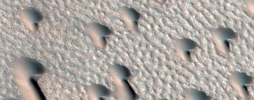 Furrows on Dunes