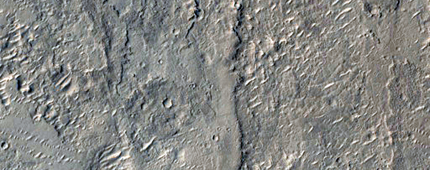 Branching Ridges in Western Arabia Terra