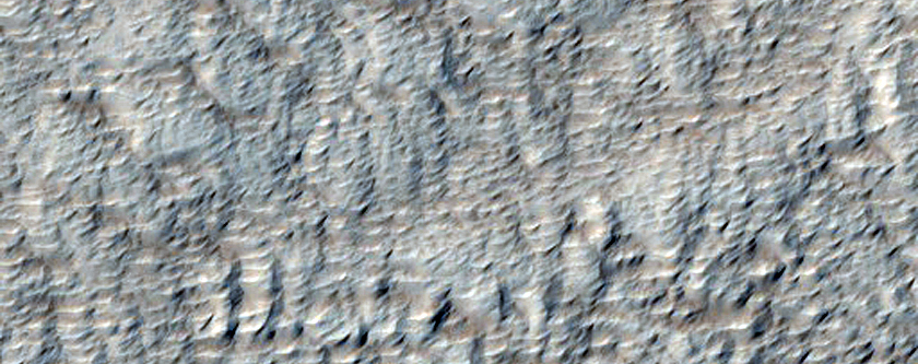 Sample of Large Lobe on North Side of Pavonis Mons