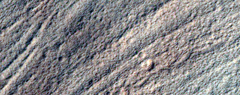 Volatiles and Gullies