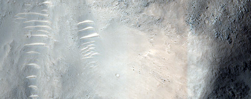 Prawdopodobna pradawna linia brzegowa na południu równiny Isidis Planitia