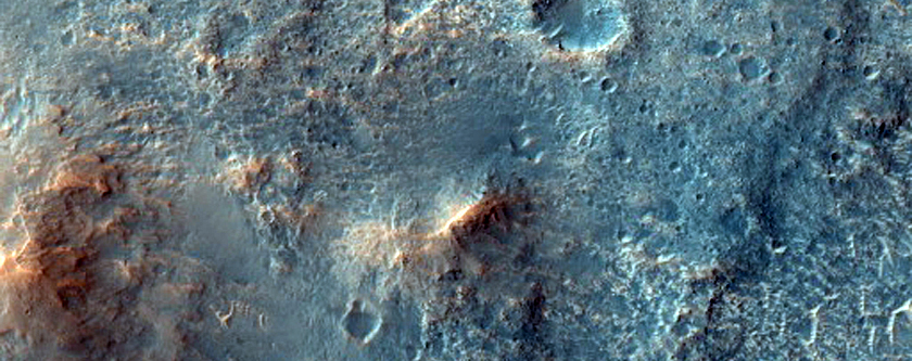 Omega Olivine Detection