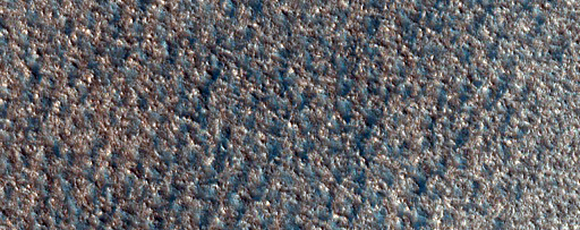 Edge of North Polar Dune Field
